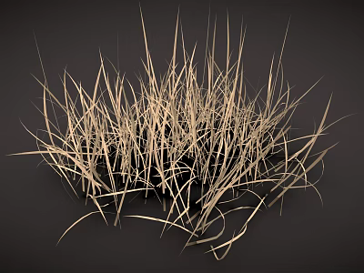 Dry Yellow Grass Clump With Dark Background And Natural Texture 3d model