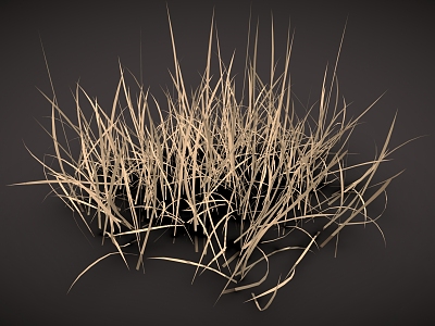 dry grass dry grass 3d model