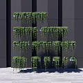 Hanging Basket Plants Vertical Arrangement On Modern Building Wall With Lush Greenery