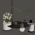 Modern Interior With Round Coffee Tables White Daisies Tea Set And Fern Plant