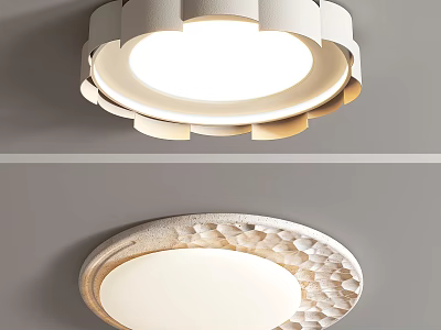 Contemporary Round Ceiling Light With Textured Surface And Decorative Ring Design 3d model