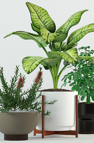 Modern potted plant collection 3d model