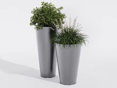 Two Silver Conical Potted Plants With Different Green Foliage In Modern Planters 3d model