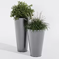 Two Silver Conical Potted Plants With Different Green Foliage In Modern Planters 3d model
