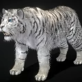 Realistic White Tiger With Striped Fur Standing In Black Background And Detailed Paws