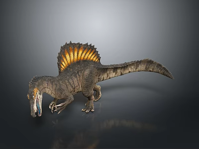 Realistic Spinosaurus Dinosaur Model With Large Sail Open Mouth And Detailed Texture 3d model