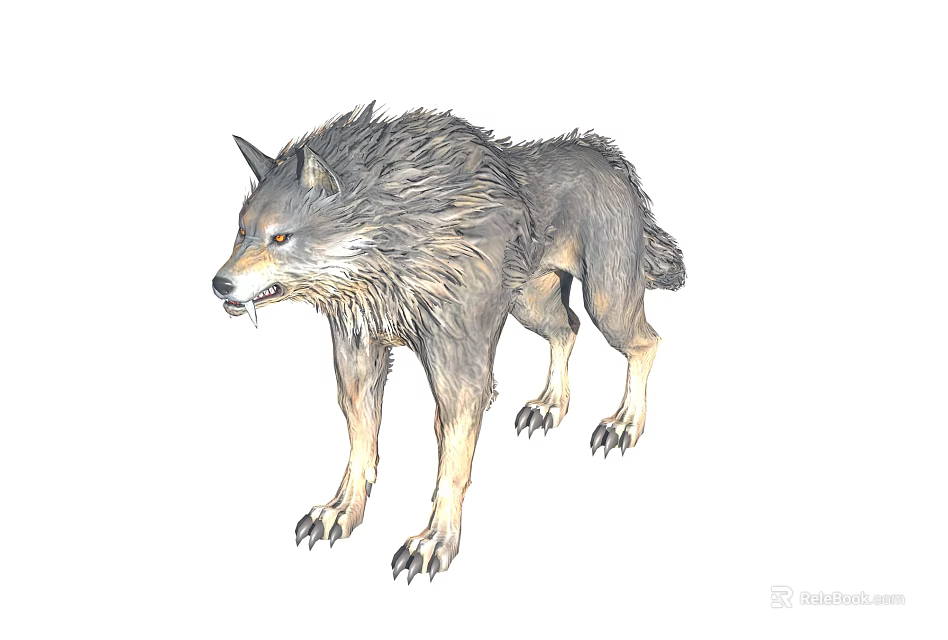 Gray Wolf With Fluffy Fur Amber Eyes Standing In Alert Posture Showing Sharp Claws 3d model 