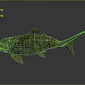 Large Greenish Brown Fish Model With Red Eyes And Textured Skin On Dark Background