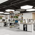 Modern Open Public Office Area With Desks Computers And Plants