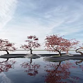 Several Red Leaf Arbor Trees On Wavy Platforms With Water Reflections Under Blue Sky