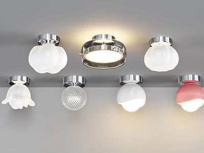 Modern Ceiling Lights With Various Designs Different Shapes White Pink Shades And Chrome Bases 3d model