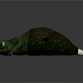 Lizard Anime Lizard Chameleon Cartoon Lizard Reptile Cold Blooded Animal Reptile Class 3d model