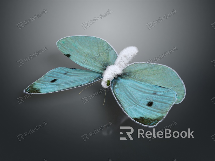 Modern Butterfly Colored Butterfly Tabby Butterfly Leaf Butterfly model