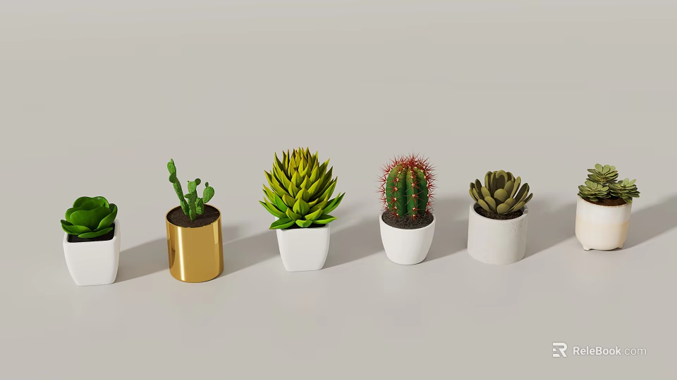 Various Potted Succulents And Cactus In White Gold Decorative Planters 3d model 