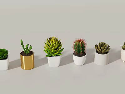 Various Potted Succulents And Cactus In White Gold Decorative Planters 3d model