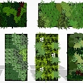 Plant wall combination 3d model