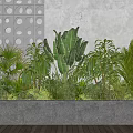 Various Green Potted Plants In Grey Concrete Rectangular Planter With White Wall And Wooden Floor