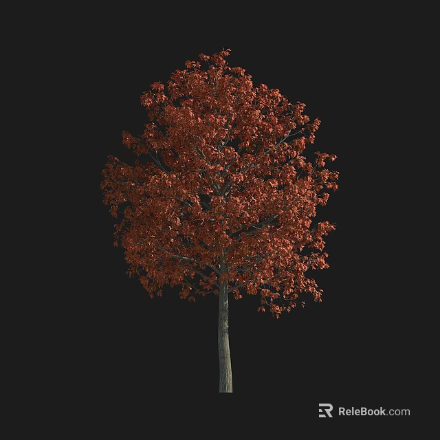 Lush Arbor Tree With Bright Red Foliage Isolated On Black Background 3d model 