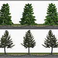 Different Types Of Trees In Outdoor Landscape With White Wall Background And Shadow Effects