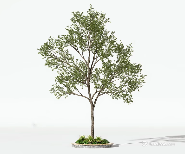 Arbor With Green Leaves And Straight Trunk On Circular Base With Grass 3d model 