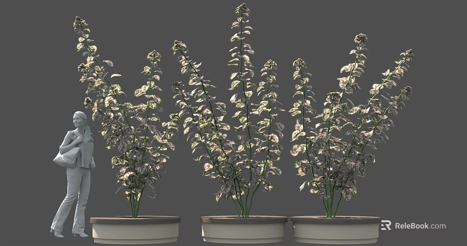 Three Potted Plants With Green Leaves And White Flowers Near Figure 3d model 