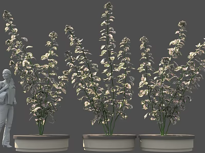 Three Potted Plants With Green Leaves And White Flowers Near Figure 3d model