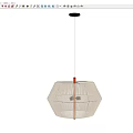 Modern White Woven Chandelier With Golden Rod And Dome Shade