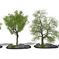 Modern Tree Landscape Tree Pond Old Tree Big Tree 3d model