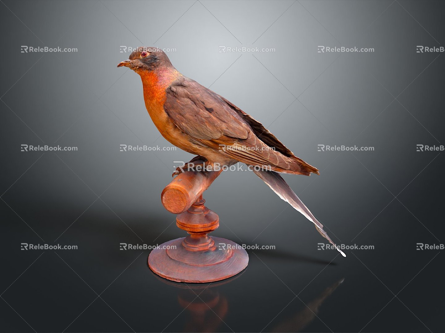 bird bird bird bird game animal cartoon animal animal realistic animal 3d model