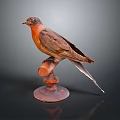 Detailed Brown And Orange Bird Taxidermy Perched On Wooden Stand