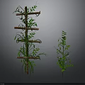 Wooden Climbing Frame With Green Vines And Leafy Plants For Garden Decor
