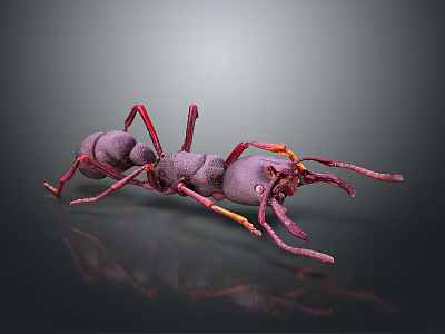 Detailed 3D Ant Model With Purple Body Red Yellow Legs And Grey Gradient Background 3d model