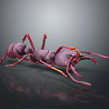 Detailed 3D Ant Model With Purple Body Red Yellow Legs And Grey Gradient Background