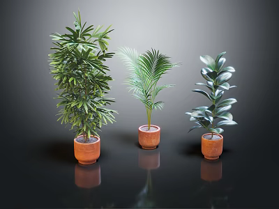 Three Potted Indoor Plants With Orange Clay Pots Against Dark Reflective Background 3d model