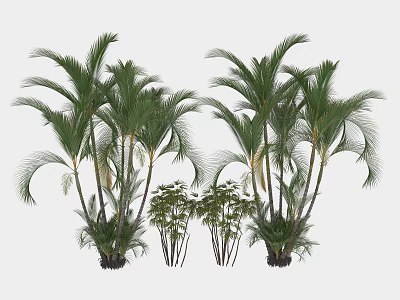 Lush Tropical Palm Trees With Green Fronds And Surrounding Small Plants 3d model