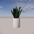 Stylish Potted Plant with Green Long Leaves in White Pot on Light Gray Background