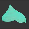 Shiny Conical Seashell With Orange White Stripes On Black Background Surface