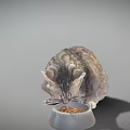 Tabby Cat Quietly Eating Dry Food From White Bowl On Gray Background