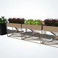 Decorative Flower Planters With Metal Frame And Vibrant Green Purple Plants