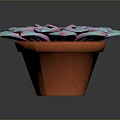 Vibrant Succulent Plant With Blue Pink Leaves In Brown Ceramic Pot