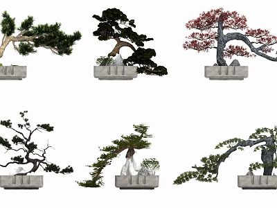 Various Bonsai Trees With Different Foliage And Stone Pot Designs 3d model