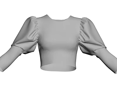 Gray Cropped Top with Puffed Sleeves and Round Neck Fashion Design 3d model