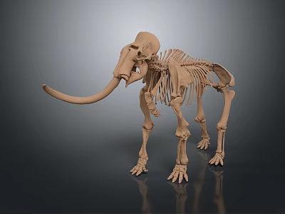 Unique Mammoth Skeleton Decorative Ornament For Home Living Supplies 3d model