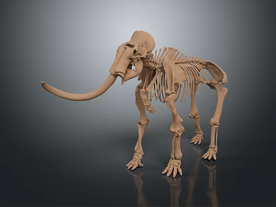 Unique Mammoth Skeleton Decorative Ornament For Home Living Supplies 3d model Unique Mammoth Skeleton Decorative Ornament For Home Living Supplies 3d model