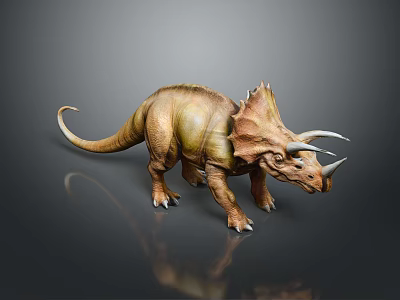Realistic Brown Triceratops Reptile With Three Horns Frilled Neck Standing On Reflective Surface 3d model