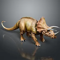 Realistic Brown Triceratops Reptile With Three Horns Frilled Neck Standing On Reflective Surface