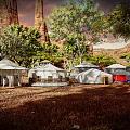 Various Styled Traditional Yurts Displayed Outdoors With Trees And Cactus