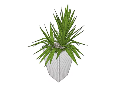 Decorative Bonsai Potted Plant With Green Long Leaves In White Geometric Pot 3d model