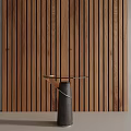Side 3d model