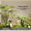 Indoor Landscape With Nature and Life Theme Featuring Various Green Plants and Stone Decorations